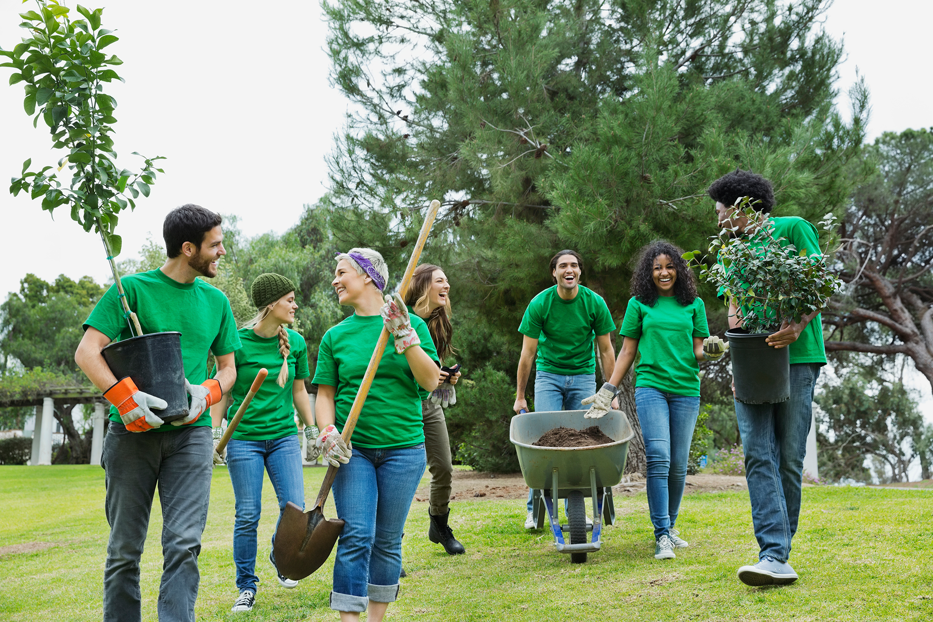 Un grupo de voluntarios al aire libre cargando plantas y palas